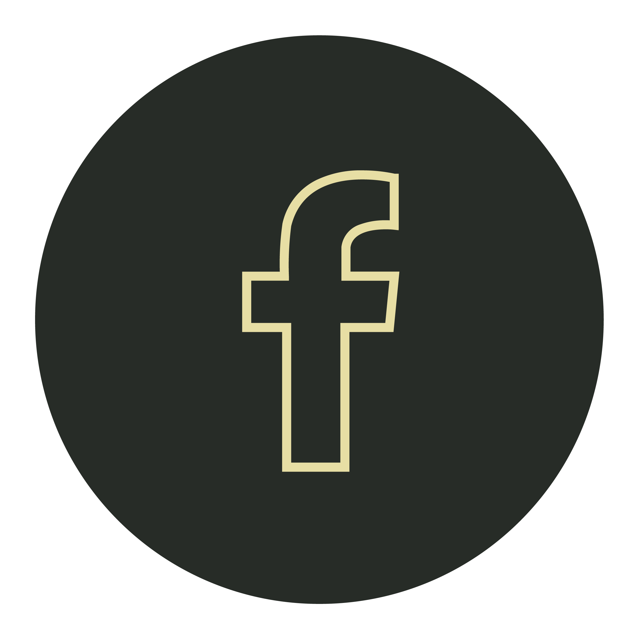 facebook icon